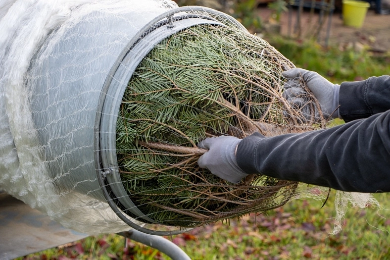 Christmas tree wrapping nets