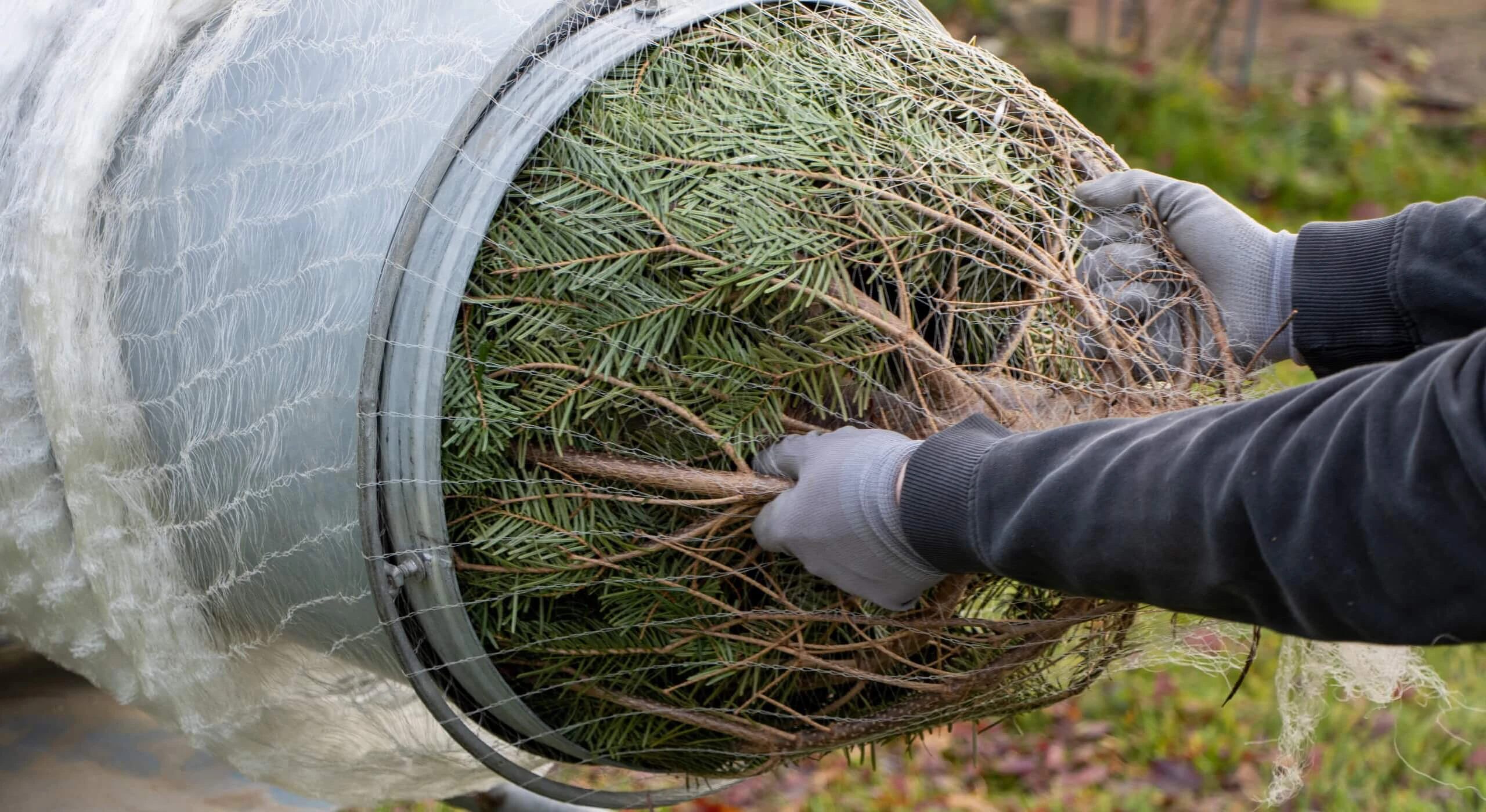 Czech manufacturer of nets for wrapping Christmas trees